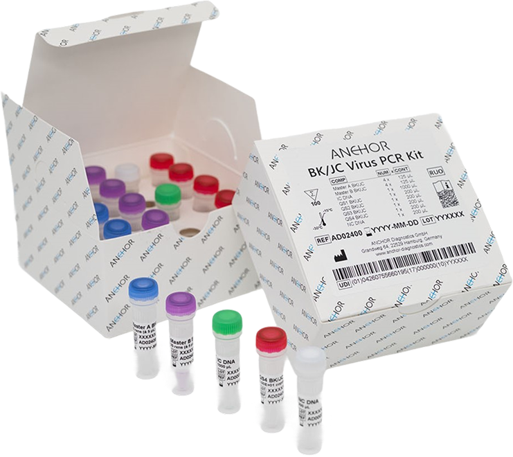BK/JC Virus PCR Kit