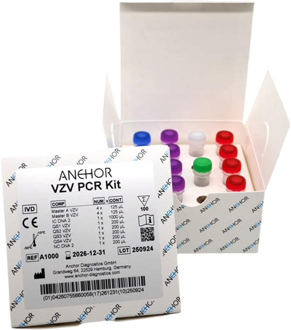 VZV PCR Kit